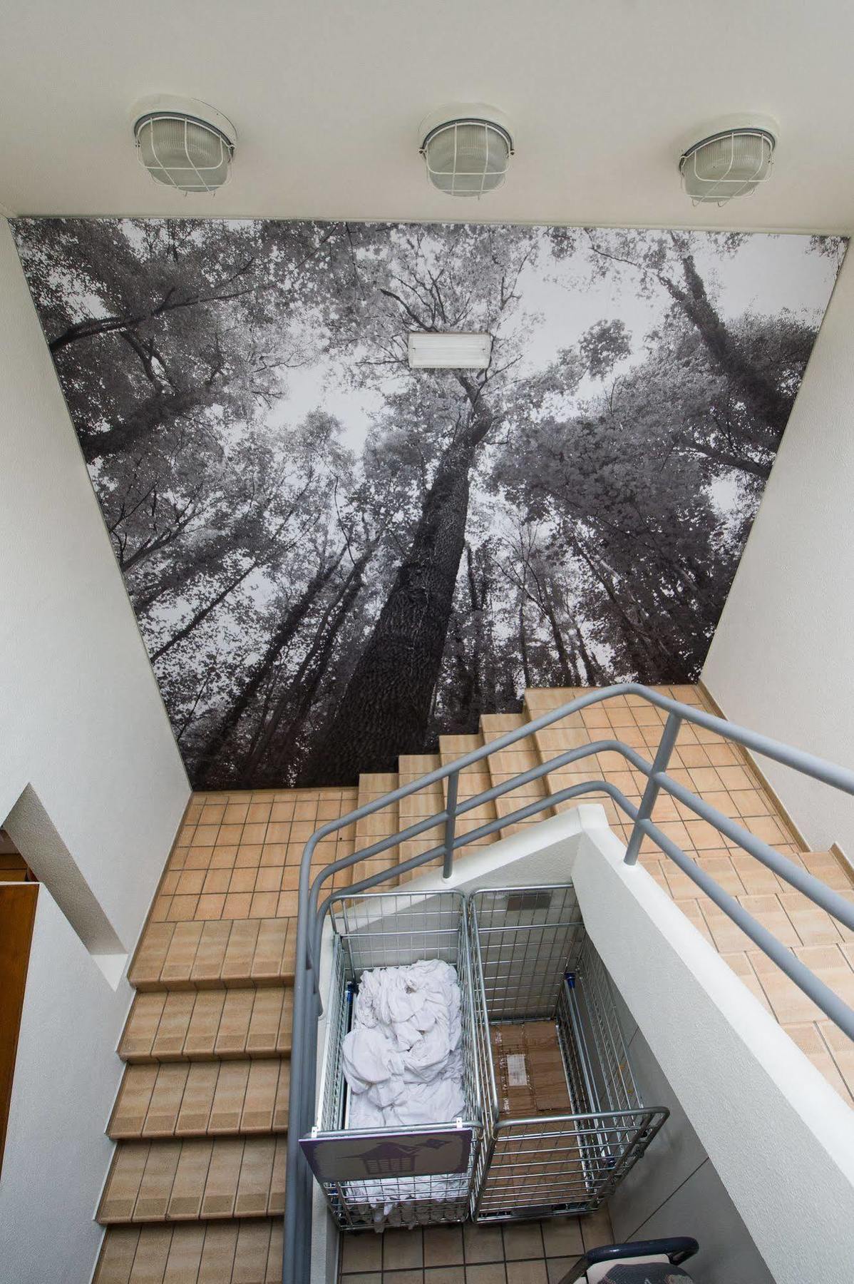 Auberge De Jeunesse De La Roche - Champlon Tenneville Екстериор снимка